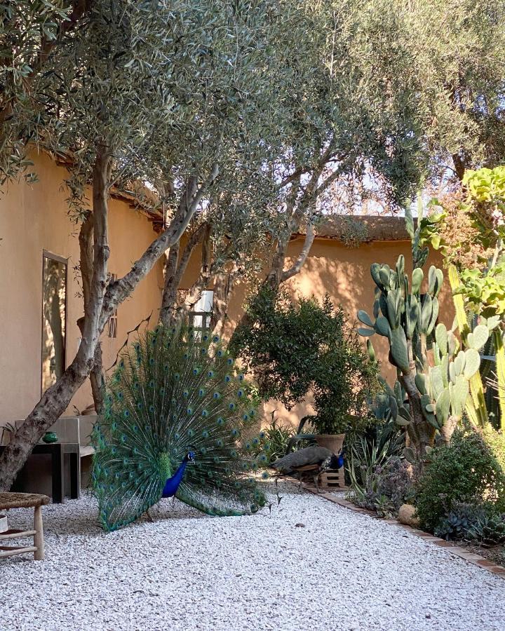 Dar Al Hossoun Hotell Taroudant Exteriör bild